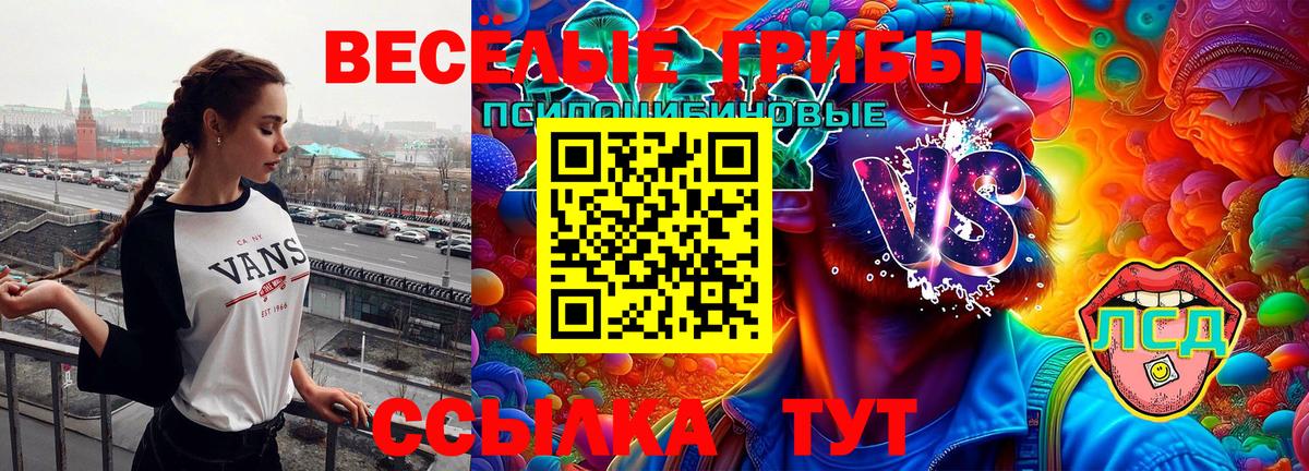 Сургут  Псилоцибиновые грибы GOLDEN TEACHER  Вход с VPN 